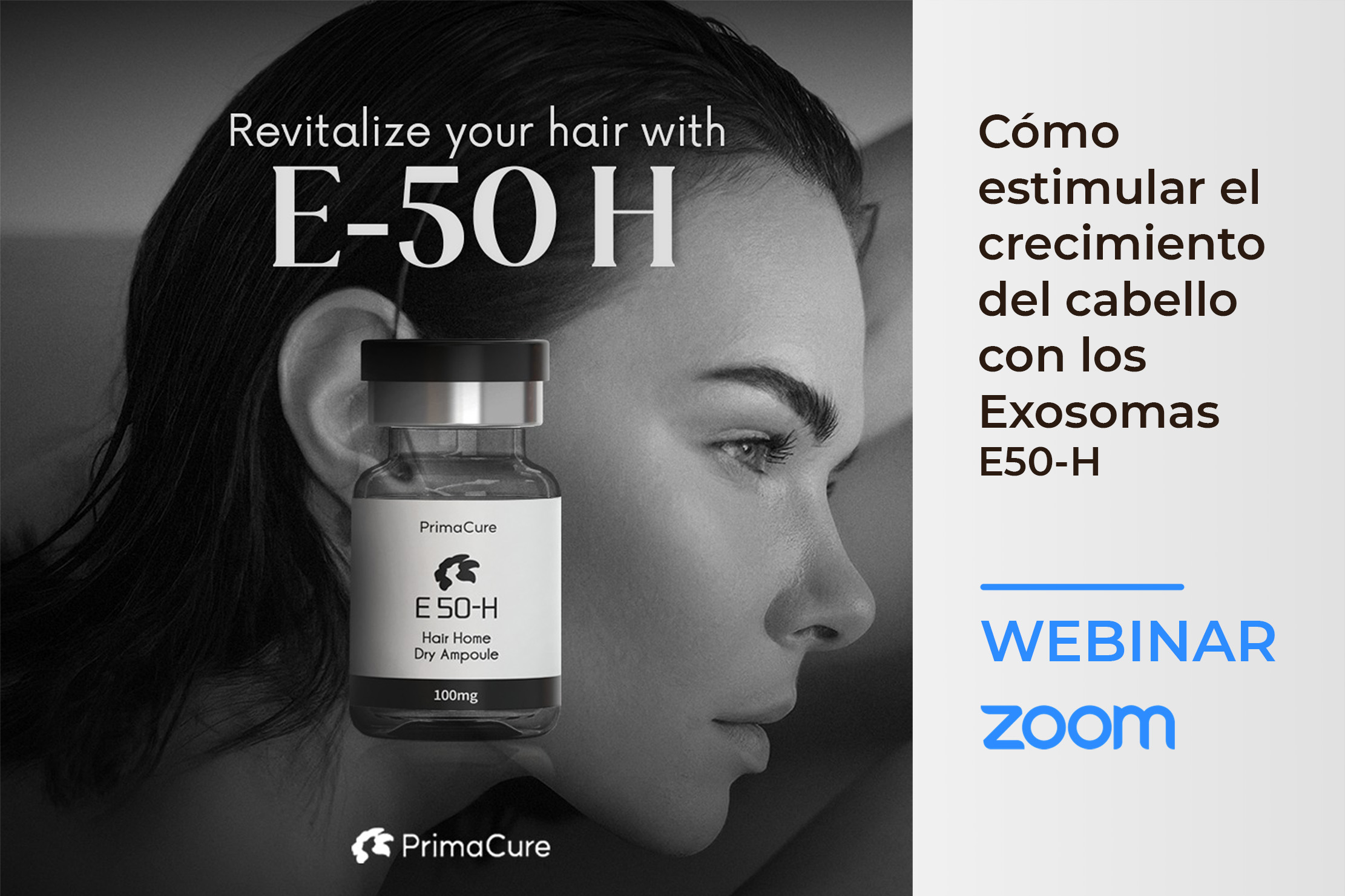 webinar-04-2024